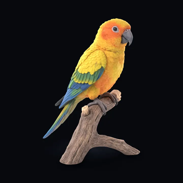 A sun conure parrot perched on a branch, generated in Printara with an 8K colour texture