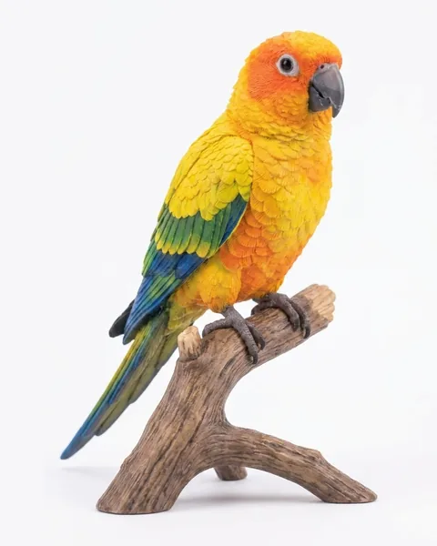 The picture the sun conure parrot statue was generated from