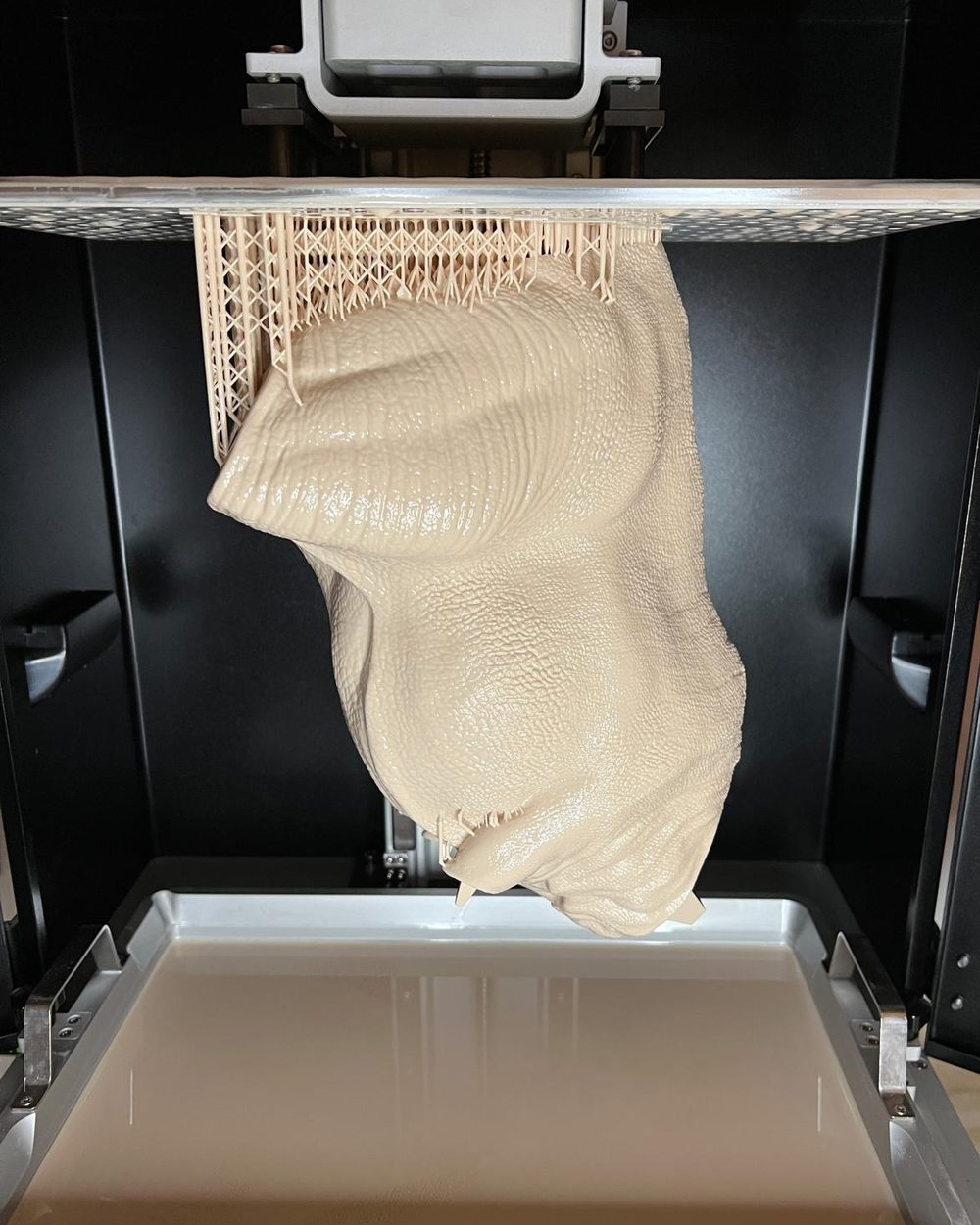Large-format torso